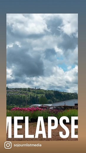 Timelapse vs a cinemagraph: freezing motion to improve the look. | Fox & Fern Photography