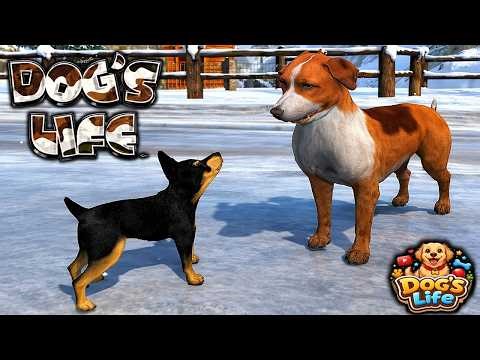 Let's Play Dog's Life PS2 | Gameplay Walkthrough Part 1 | Dog's Life