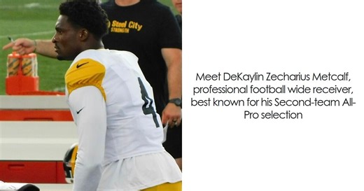 DK Metcalf: Bio And Career Highlights