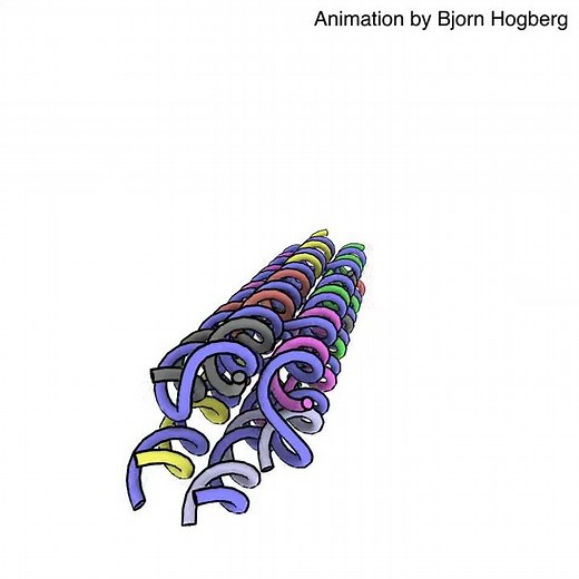 Visualisation of DNA origami folding