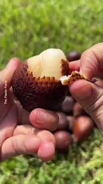 5 ese fal jo fal hi nahin hai #science #fruit #youtubeshorts #ytshorts #trendingshorts #viralvideo