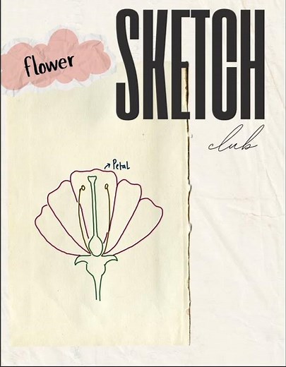Flower Diagram and Labelling | Parts of a Flower Diagram |