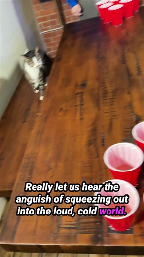 Fear Pong said: cry like a baby 😭👶 | Hasbro Games