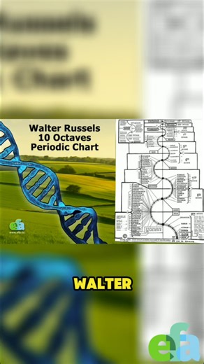 What if the periodic table was alive? In EFA Podcast Episode 4, we break down Walter Russell’s radical reimagining of the elements - not as static blocks, but as flowing energy. Think less table, more symphony. | Ecofarm Aotearoa with Ewan Campbell