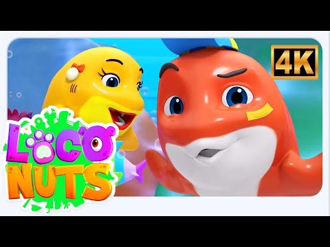 Peek a Boo Baby Shark Popular Nursery Rhyme and Videos for Kids