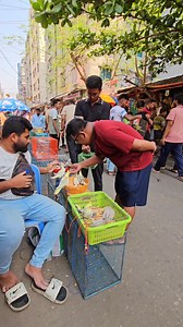 675K views · 10K reactions | মিরপুর ১ পাখির হাটে ফুরফুরা পাখি।√ #reels #viral #birds #parrots | Exotic Pets Aviary | Facebook