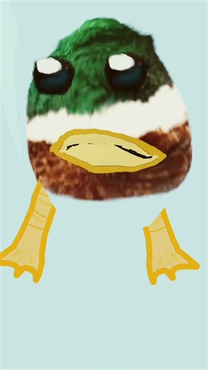 #duck #parati esto es divertido