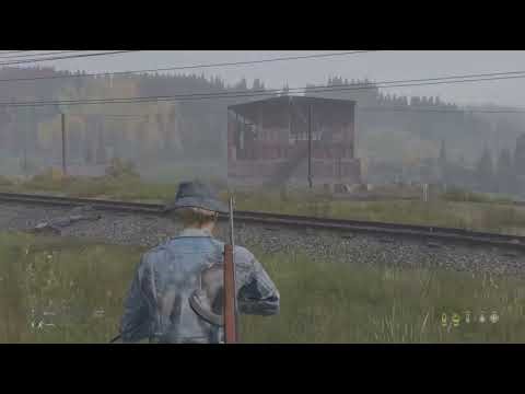 DayZ execution