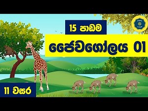 O/L Science Sinhala | Grade 11 Science Unit 15 Part 1 | 11 විද්‍යාව 15 පාඩම 1 කොටස | ජෛවගෝලය