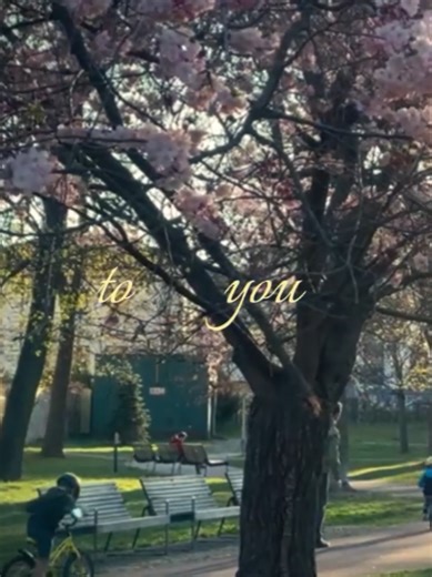 to you - seventeen #CapCut #lyrics #fyp #seventeen #aesthetic | seventeen songs