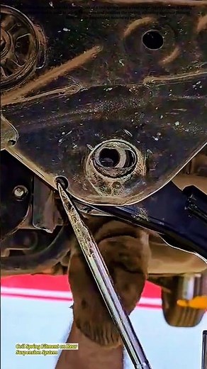 Coil Spring Fitment on Rear Suspension System