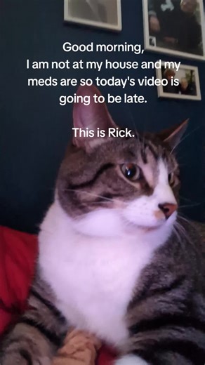 chris is 🏳️‍🌈 4 U. (@chrisfromthe1900s)’s video of rick riordan