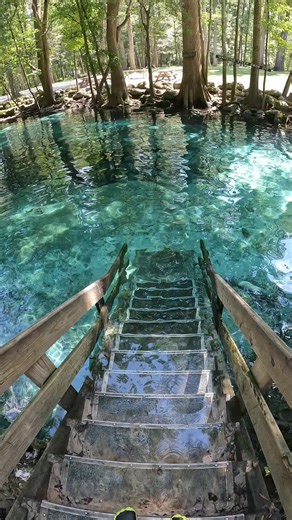Exploring Florida's Crystal Clear Springs: A Hidden Paradise Underwater