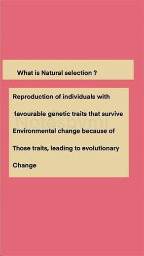 Natural Selection Explained in 30 Seconds | Evolution Basics
