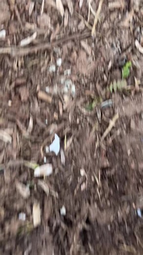 Exploring Fez: The Capital of World Heritage