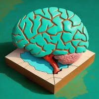 functionality of the 6 brain lobes