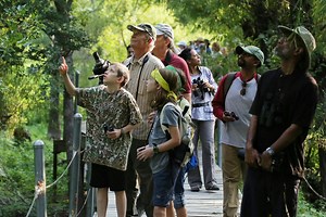 Heard Natural Science Museum & Wildlife Sanctuary is the Perfect Autumn Destination