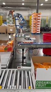 66K views · 694 reactions | No apples were bruised in the making of this video  This robot is handling these apples carefully, ensuring they’re packaged nice and tidy, ready to be shipped. #robotics #automation #palletizing | Universal Robots | Facebook