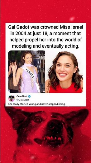 Gal Gadot was crowned Miss Israel in 2004 at just 18,a moment that helped propel her into the world