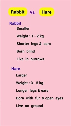 🐇Rabbit Vs Hare #difference #animal #easylearning #shortsfeed #shorts #ytshorts