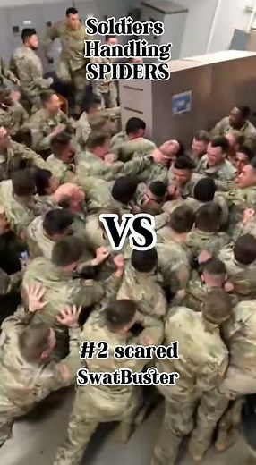 Soldiers & Spiders 🕷️