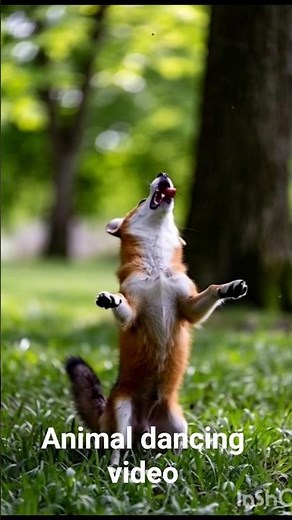 Funny Animals Dancing to the Beat 🐶🐒🦜 | Cute Animal Dance Compilation"