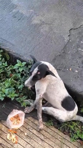 73K views · 4.9K reactions | 헨헣헗헔헧험: Big thanks to rescuers Ms...