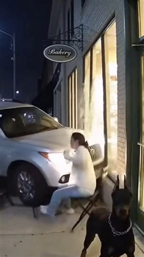 7.5K views · 40 reactions | SAVED BY THE DOG: Doberman Yanks Woman Out of Seat Seconds Before SUV SMASHES Table!  ​#HeroDog ​#Doberman ​#CloseCall ​#SavedByTheDog ​#ViralVideo ​#MiracleMoment ​#SecurityCamera ​#DogSavesOwner ​#CarCrash ​#DogHero | Osmane Jeans | Facebook