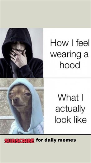 How You Think You Look 😎 vs How You Actually Look 💀#memes