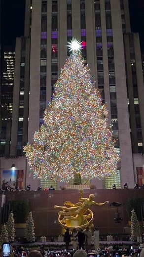 The Rockefeller Center Christmas Tree has been lit! ✨❤️