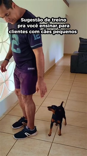 🟡👉🏾Imagine dominar comandos essenciais como: 🐾 Andar ao lado sem puxar a guia 🐾 Sentar e deitar sob comando 🐾 Ficar no lugar até ser liberado 🐾 Atender ao chamado com precisão 🐾 Fazer xixi e cocô no lugar certo Quem aprende esses comandos com um MÉTODO FORTE e eficiente tem uma vantagem enorme. Sabe por quê? Porque esses são os problemas que mais incomodam os donos de cães! Dominar isso faz você se destacar e ser muito procurado. Mas não para por aí! Na Formação Adestrador Pró Online, vo