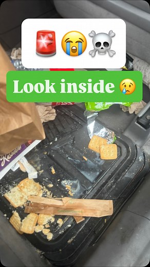 WHAT THEY EXPECTED: “A quick clean.” WHAT THEY GOT: A full GOAT Garage interior transformation — deep cleaning, steam, extraction, and a Surrey-level reset that made the cabin look brand new. 📍 GOAT Garage, Surrey / Guildford 📞 236-332-7202 📩 DM to book. Surrey car detailing, Surrey interior detailing, Guildford car detailing, deep interior cleaning Surrey, car steam cleaning Surrey, Surrey stain extraction, Surrey odor removal, Guildford interior cleaning, Surrey auto detailing shop, profess