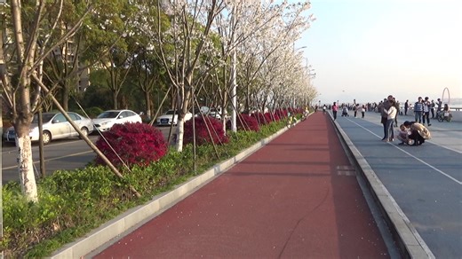 索尼HDR-CX450 样片