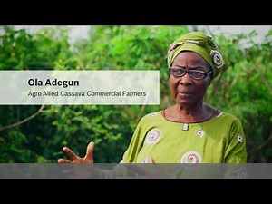 How Bosch Technology helps to improve the life of African communities: Cassava in Nigeria