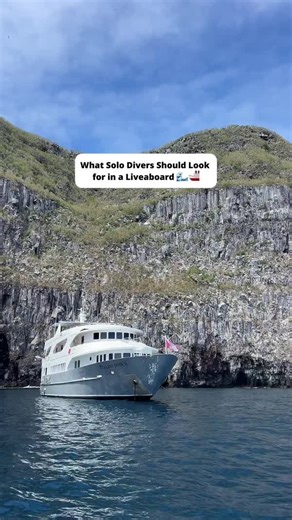 42K views · 154 reactions | Thinking of booking a liveaboard as a...