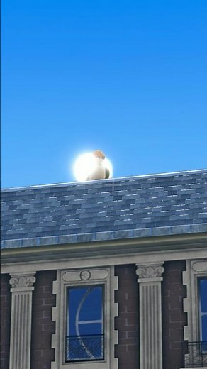 Wait...that's a Shiny Pokemon?