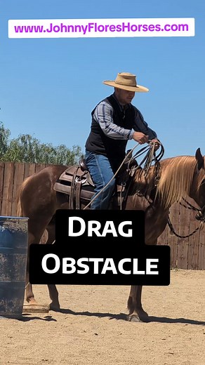 New video added to my Ranch Trail Master Class Online Course!! If you purchased this course or subscribed, you automatically get access to new videos!! The Drag obstacle is often in Ranch Trail patters. Learn proper rope Handling, setting your drag for success, and how to improve your scores. www.JohnnyFloresHorses.com #ranchtrail #ranchhorse #quarterhorse #johnnyfloreshorses #aqhaproud #aqhaprofessionalhorseman #bosal #hackamore | Johnny Flores Horses