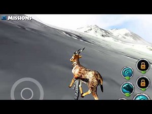 Snow Leopard Simulator IOS Gameplay #1