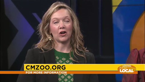 Previewing Electric Moonlight at Cheyenne Mountain Zoo