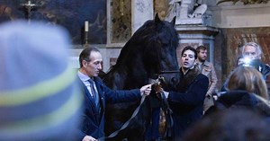 Messe en hommage à Brigitte Bardot : pourquoi un cheval a-t-il été convié à l'église ?