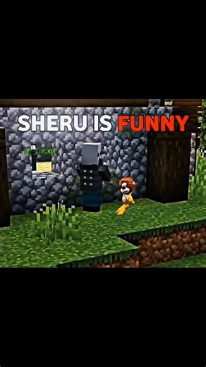 Funniest Proboiz 95 Shock Moment Ever 💀 ( SHERU IS FUNNY ) #minecraft #shorts