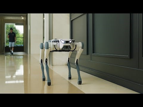 Meet The Smartest Robot Dog That Can Actually Work With You!