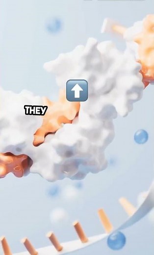 Meiosis: The Cell Division Process! 🔬 #Biology #Science
