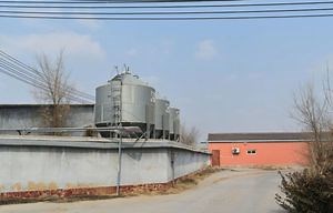 [Hot Item] Advanced Chicken Layer Cage with Intelligent Automation Features