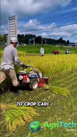 Inside Modern Farming: Machines That Changed Agriculture 🚜🌾
