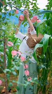 Harvesting Fresh Exotic Fruits Straight From The Tree! 🍇 😍 #shorts #fruit #yummy