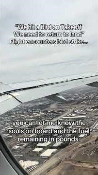 Flight hits heron on takeoff roll forcing to declare an emergency…#aviation