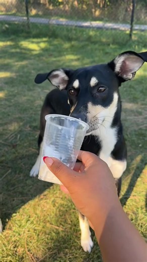 when time slows down