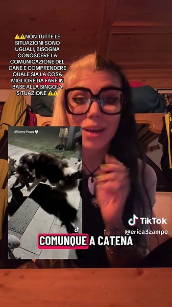 Educazione del Cane: Importante Comprendere le Situazioni