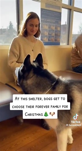 Cry warning!!!!!! If you watch this you will cry. 😭😭😭😭 | Ryan Crane